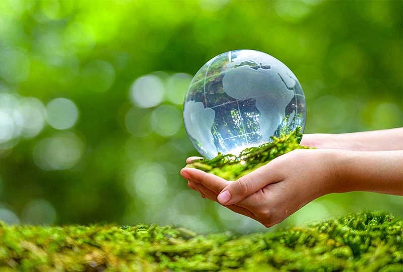 Găng Tay Chống Hóa Chất Và Xu Hướng Vật Liệu Bền Vững Trong Tương Lai