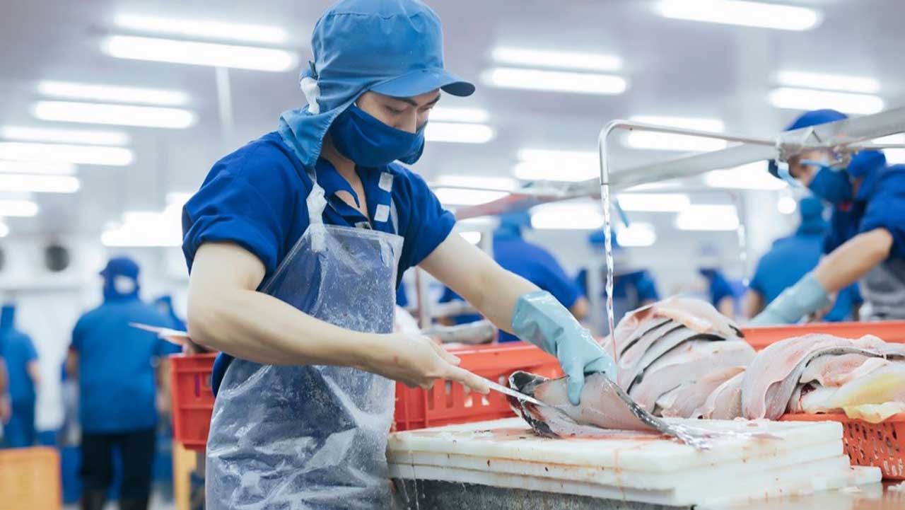 4 lý do tạp dề nhựa trong suốt là bắt buộc trong nhà máy thực phẩm