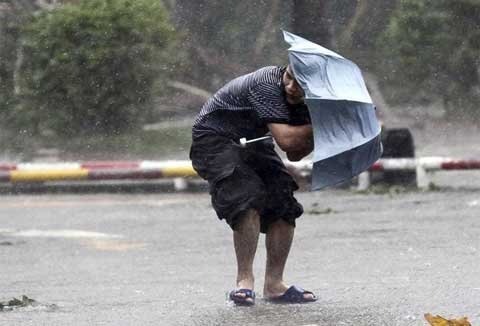 Nan dù Fiberglass: Khám phá công nghệ giúp dù không gãy, chống lật gió