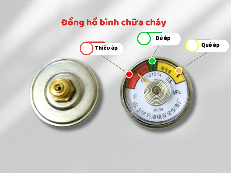 Hướng dẫn sử dụng bình chữa cháy Dolphin DPA-T6PL cho người mới bắt đầu